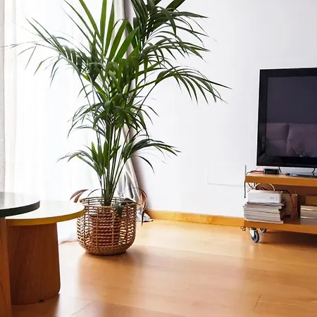 Apartman Centrico Elai, San Sebastián